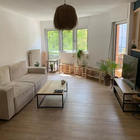 Centre Atypique T3 Appartement