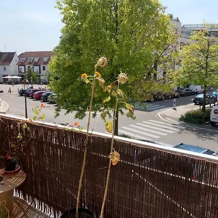Appartement Centre Atypique T3 Haguenau